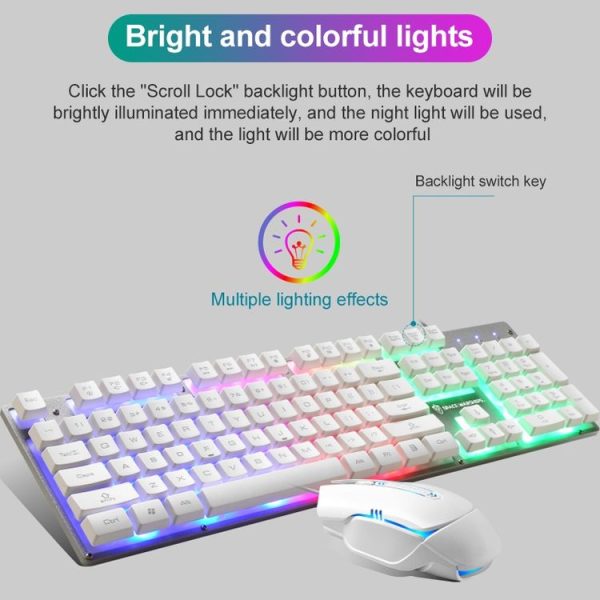 Kb6225w 7.jpg
