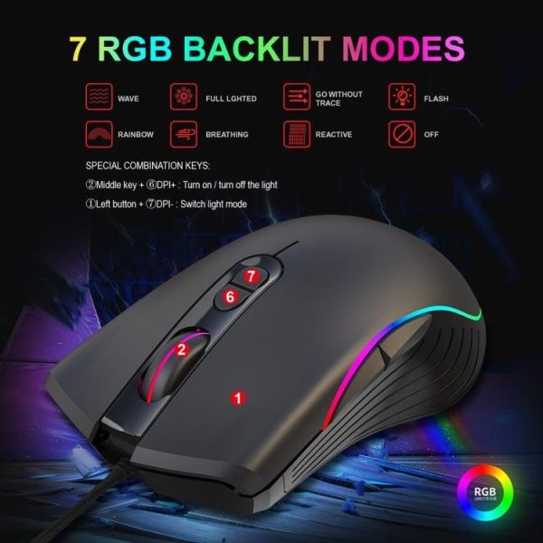 Kb9899 9.jpg