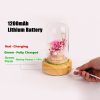 Led0163a 6.jpg