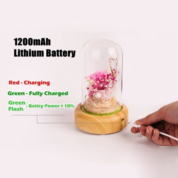 Led0163a 6.jpg
