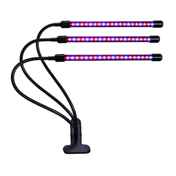 Led0295 2.jpg