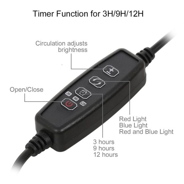 Led0295 3.jpg