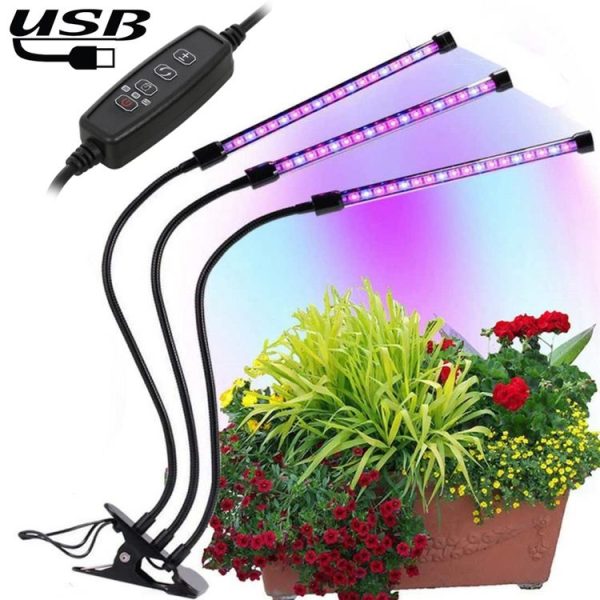 Led0295 4.jpg