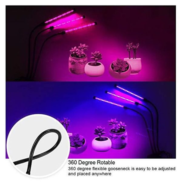Led0295 5.jpg
