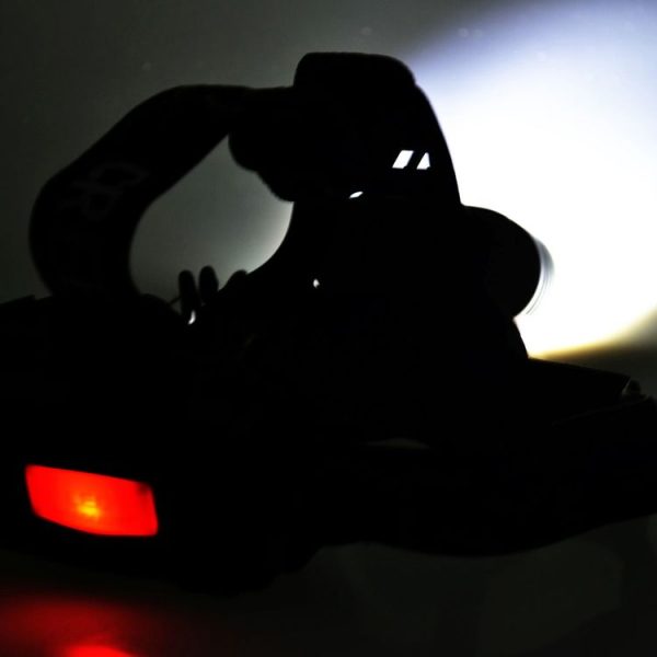 Led0385 9.jpg