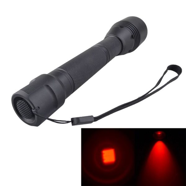 Led0393 1.jpg