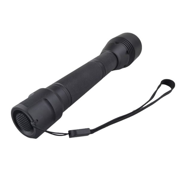 Led0393 2.jpg