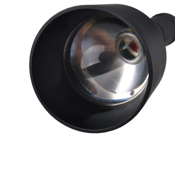 Led0393 4.jpg