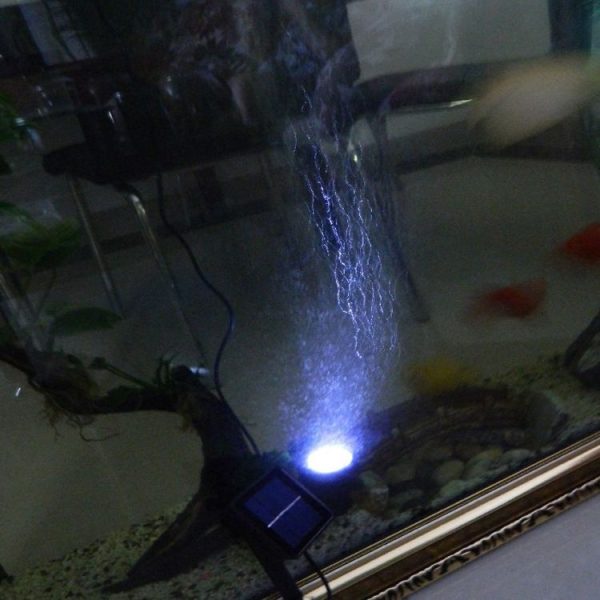 Led0619 9.jpg