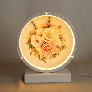Led1049d 1.jpg