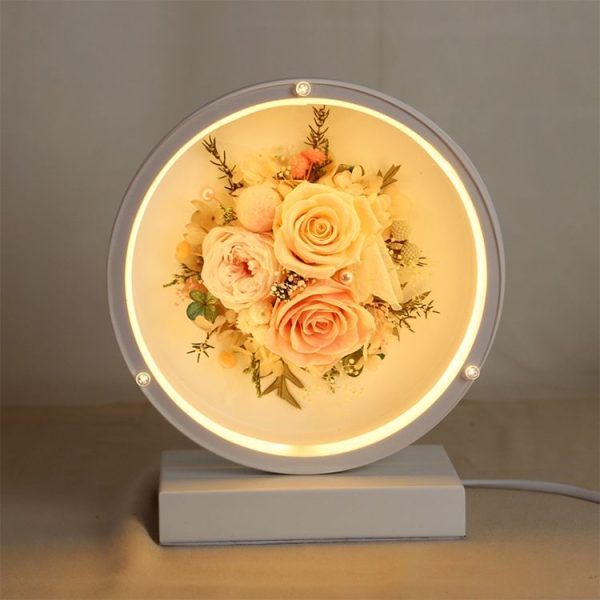 Led1049d 1.jpg