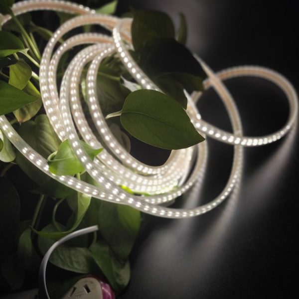 Led1270wl 4.jpg