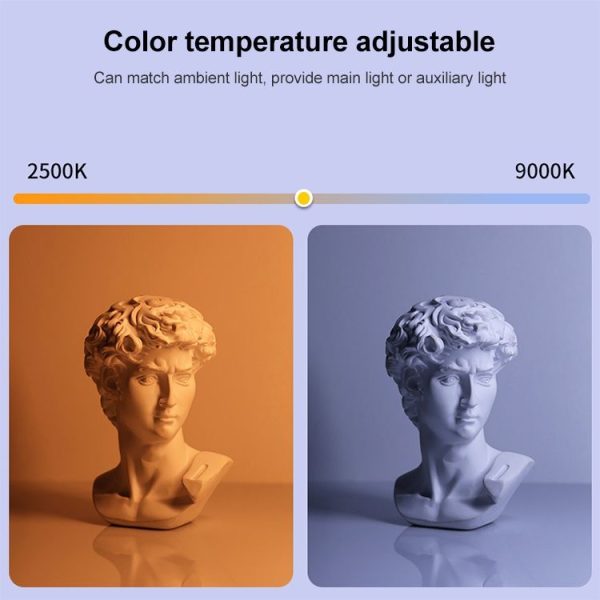 Led1478 4.jpg