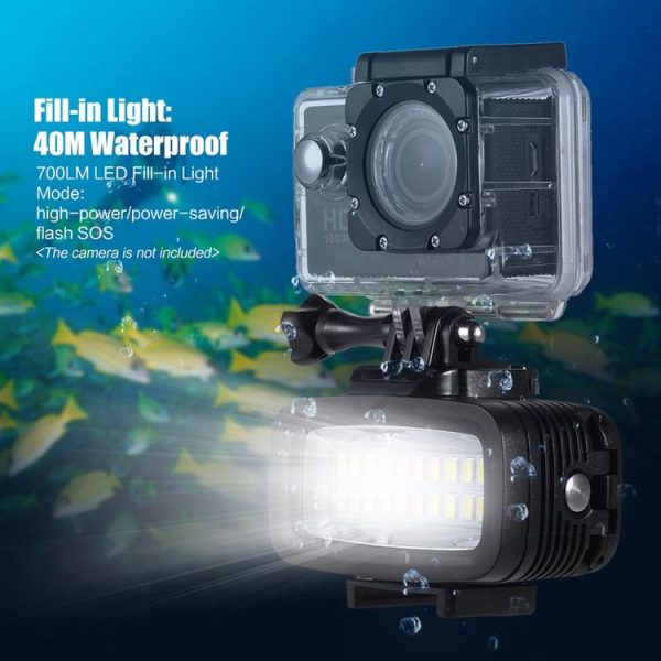 Led1887 12.jpg