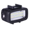 Led1887 4.jpg