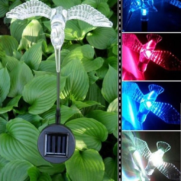Led1976 8.jpg