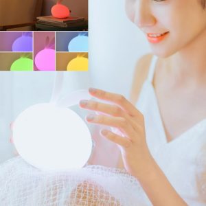 Led2599 1.jpg
