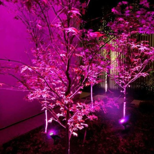 Led2852cl 9.jpg