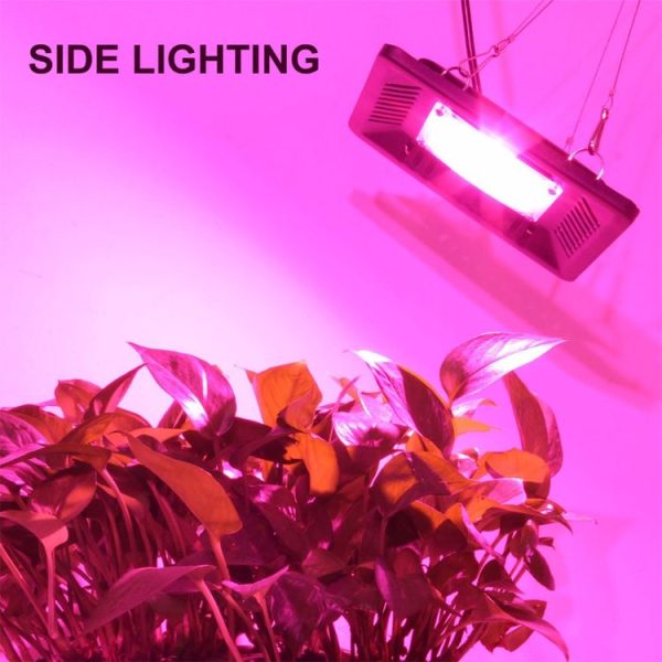 Led3098 14.jpg