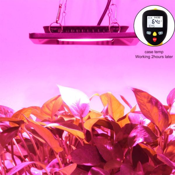 Led3098 15.jpg
