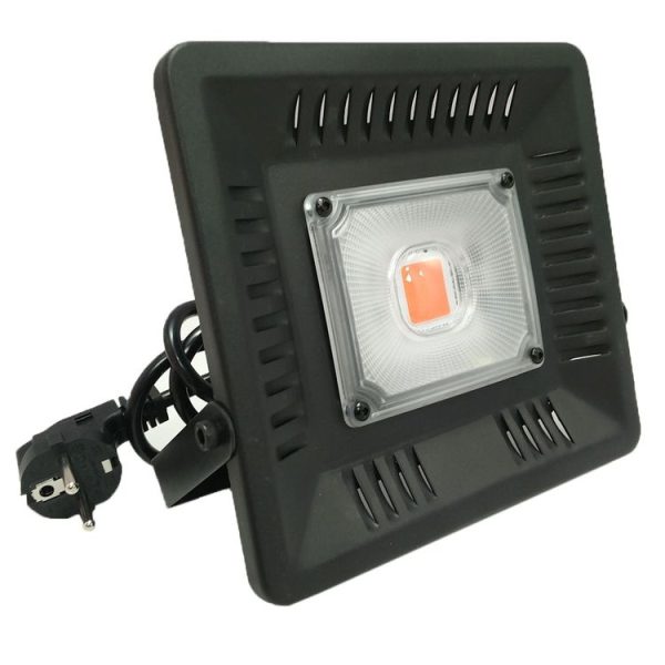 Led3098 2.jpg