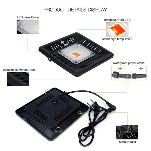 Led3098 5.jpg