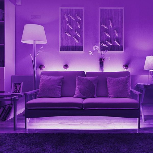 Led3623 8.jpg