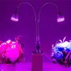 Led6172 1.jpg