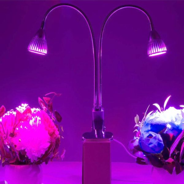 Led6172 1.jpg