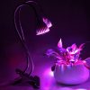Led6172 11.jpg