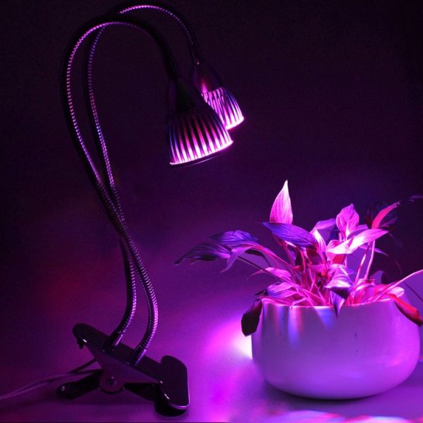 Led6172 11.jpg