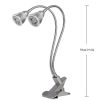 Led6172 4.jpg