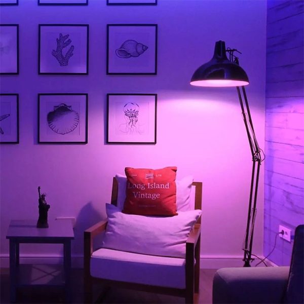 Led9502 10.jpg
