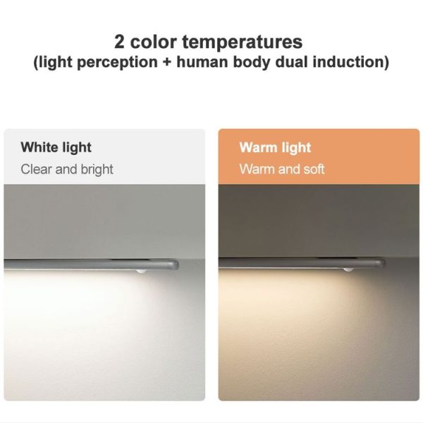 Led9832 12.jpg