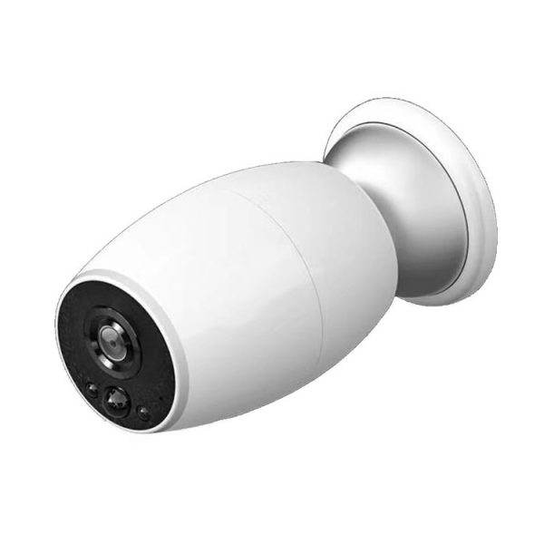 Nc0102w 2.jpg
