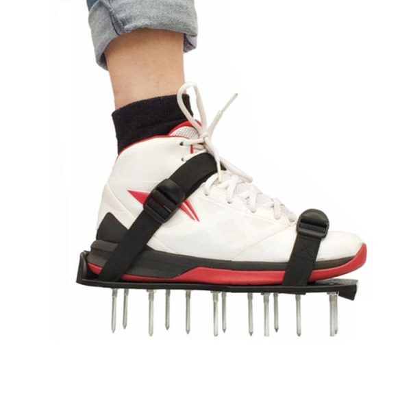 Og5086b 1.jpg