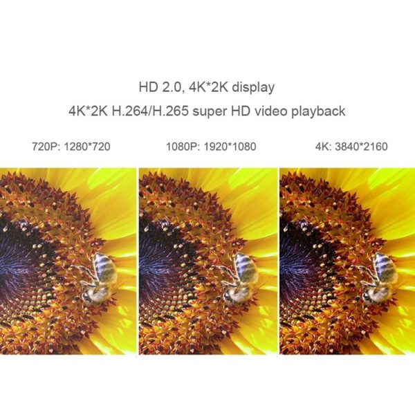 Pc3002a 10.jpg