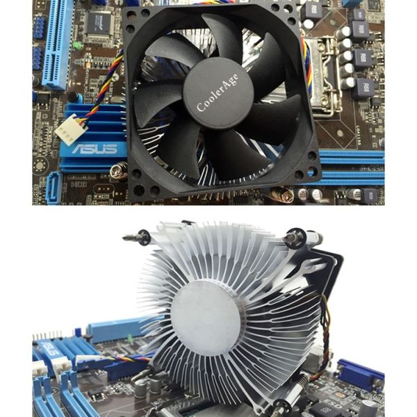 Pc4719 8.jpg