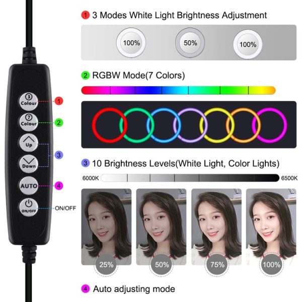 Pkt3085r 9.jpg