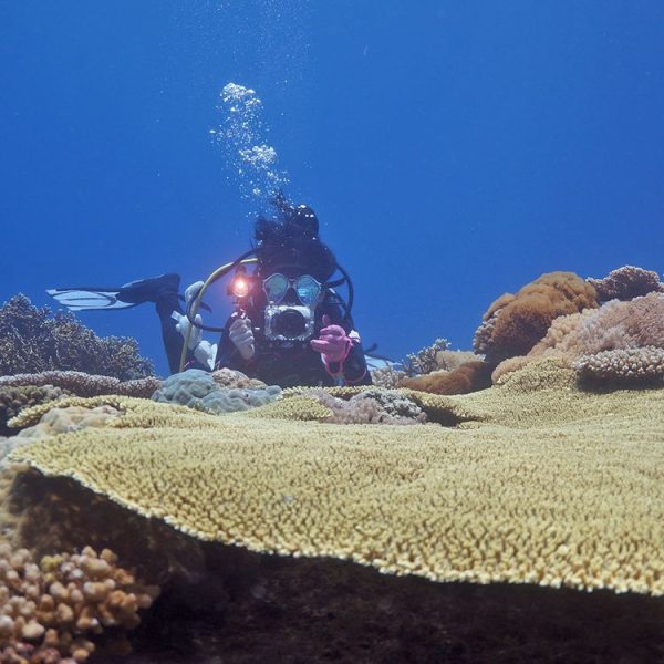 Pu7005 14.jpg