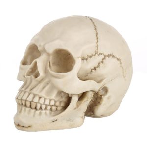 S Hm 0015 1.jpg