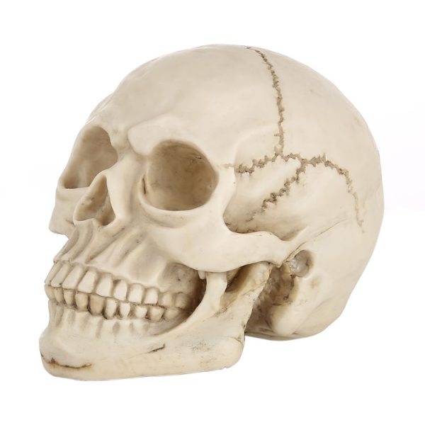 S Hm 0015 1.jpg