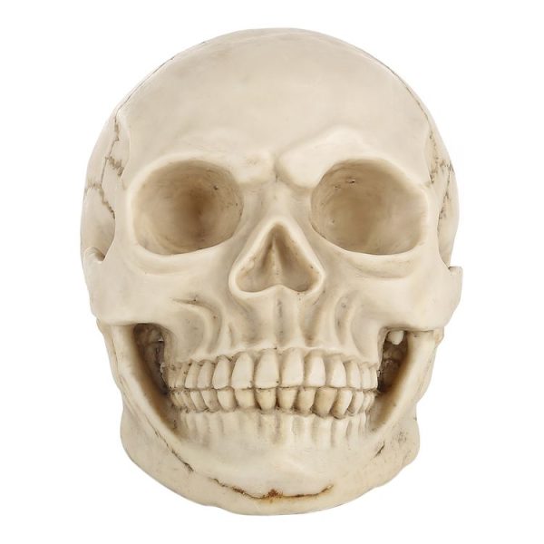 S Hm 0015 2.jpg
