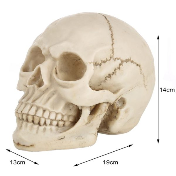 S Hm 0015 3.jpg