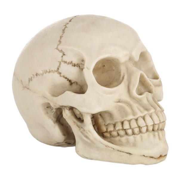 S Hm 0015 4.jpg