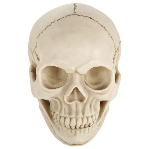 S Hm 0015 6.jpg