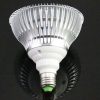 S Led 0138 5.jpg