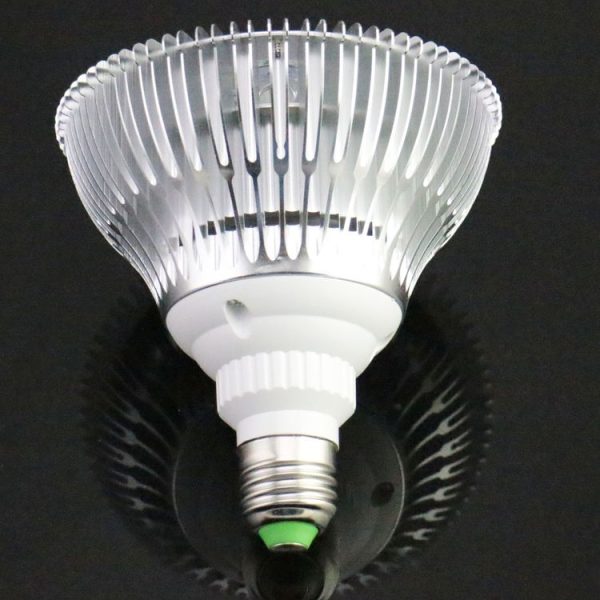 S Led 0138 5.jpg