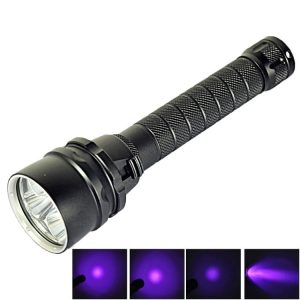 S Led 0311 1.jpg
