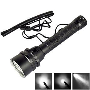 S Led 0312 1.jpg